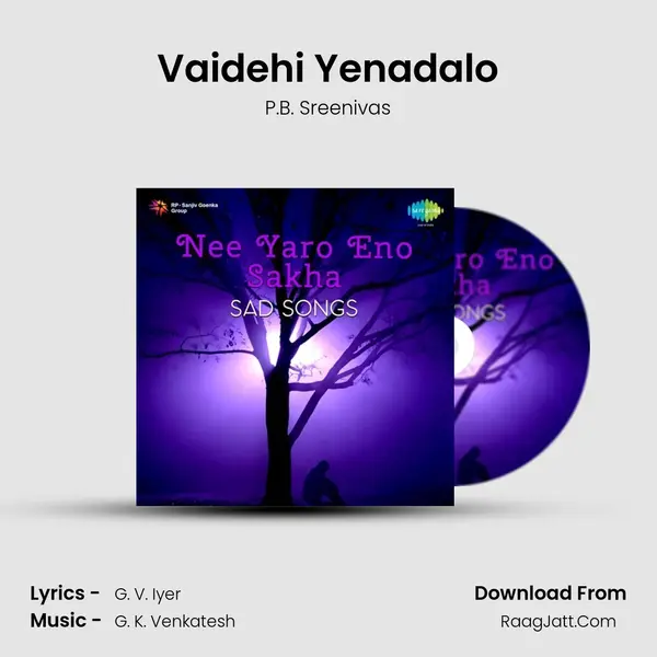 Vaidehi Yenadalo MP3 Song by P.B. Sreenivas Cover