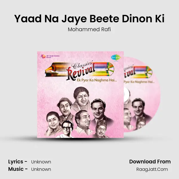 Yaad Na Jaye Beete Dinon Ki Cover