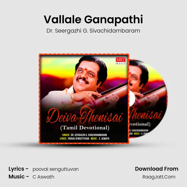 Vallale Ganapathi MP3 Song by Dr. Seergazhi G. Sivachidambaram Cover