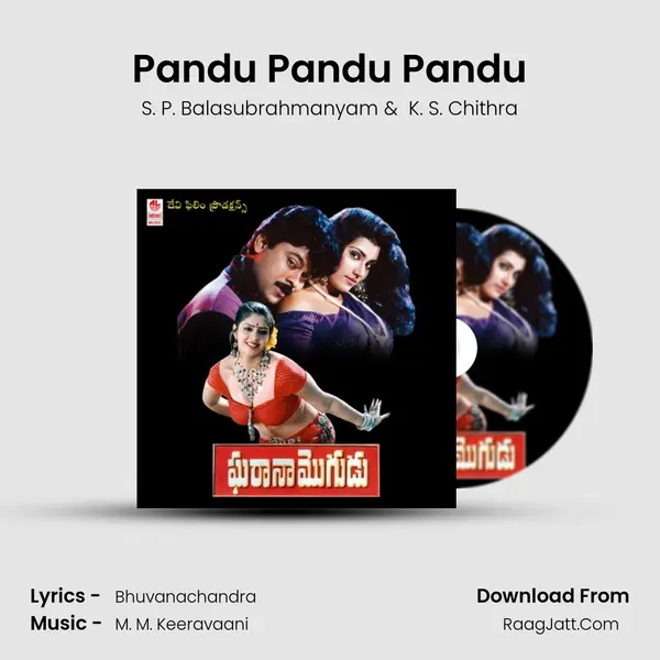 Pandu Pandu Pandu MP3 Song by S. P. Balasubrahmanyam Cover