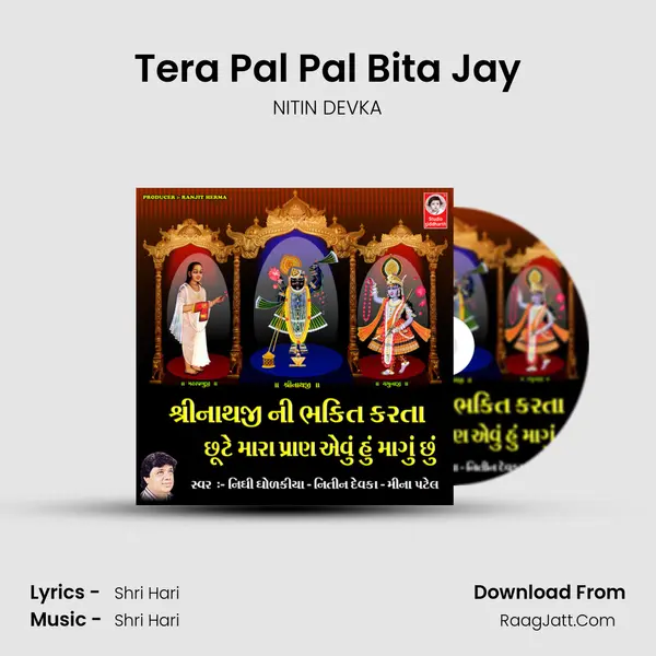 Tera Pal Pal Bita Jay MP3 Song by NITIN DEVKA Cover