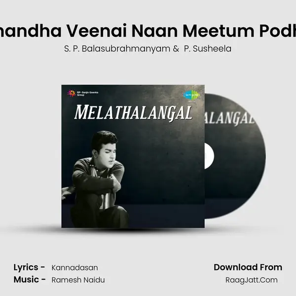 Anandha Veenai Naan Meetum Podhu MP3 Song by S. P. Balasubrahmanyam Cover