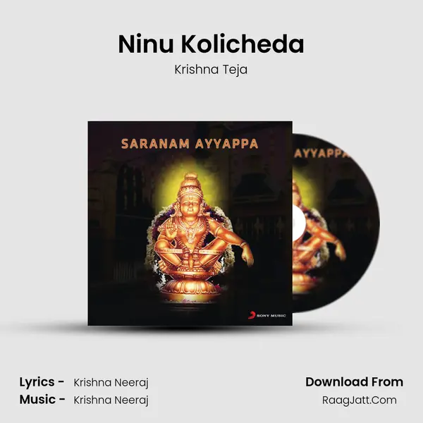 Ninu Kolicheda MP3 Song by Krishna Teja Cover