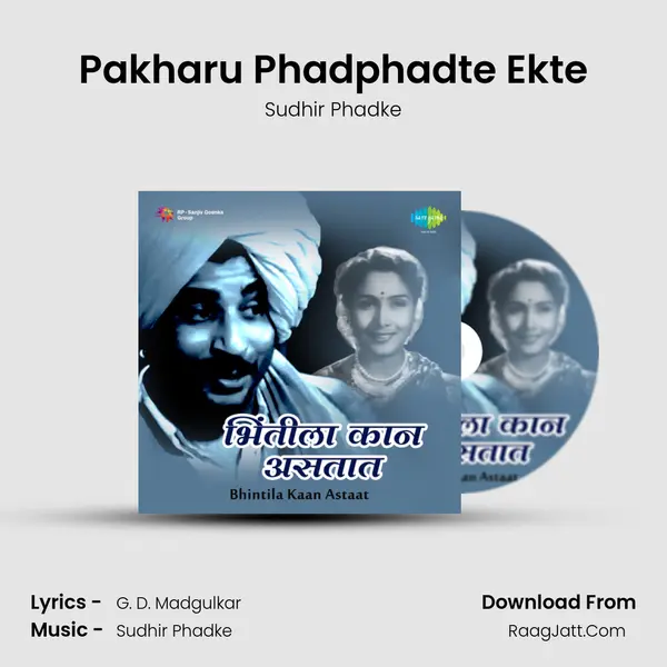 Bhintila Kaan Astaat - Sudhir Phadke