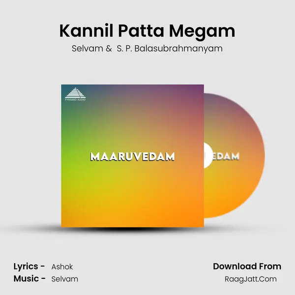Kannil Patta Megam MP3 Song by Selvam Cover