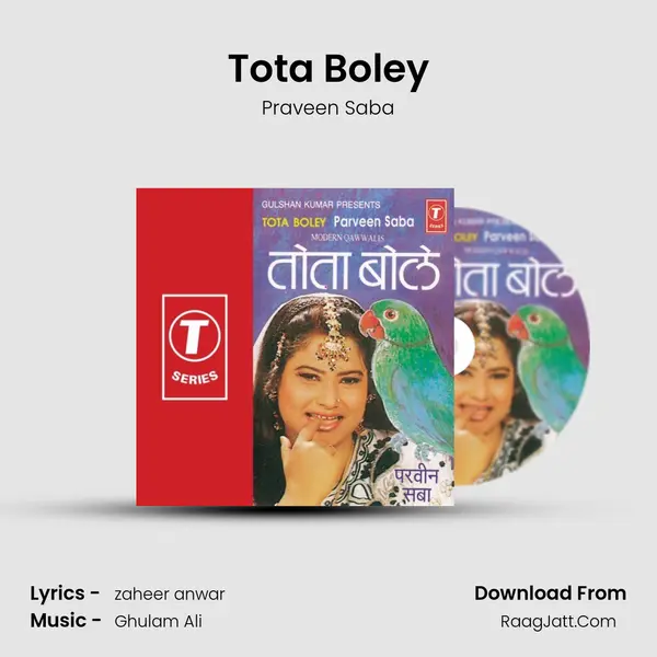Tota Boley MP3 Song by Praveen Saba Cover