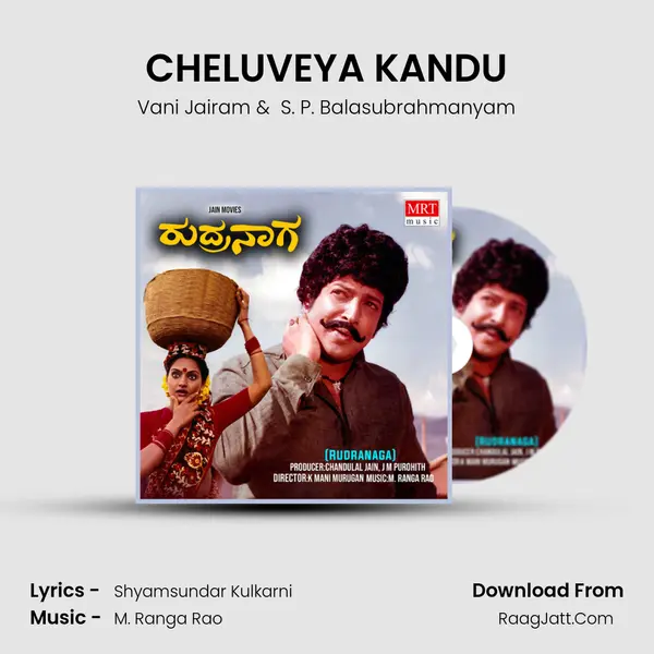 CHELUVEYA KANDU MP3 Song by Vani Jairam Cover