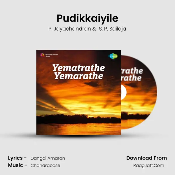 Pudikkaiyile MP3 Song by P. Jayachandran Cover