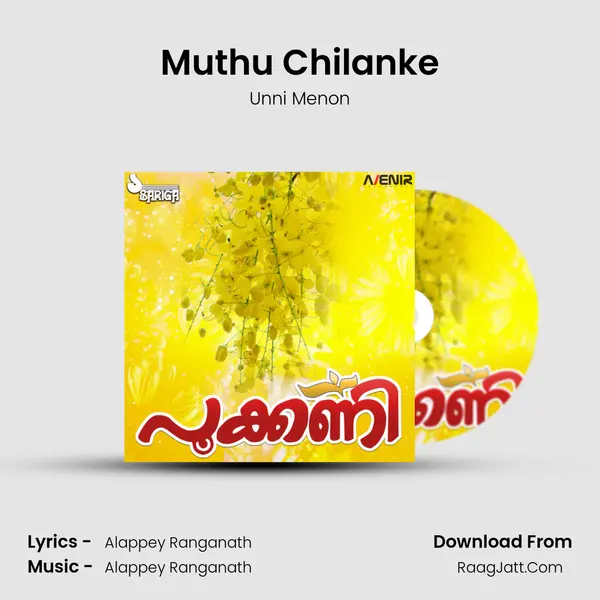 Muthu Chilanke MP3 Song by Unni Menon Cover