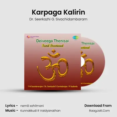 Karpaga Kalirin MP3 Song by Dr. Seerkazhi G. Sivachidambaram Cover
