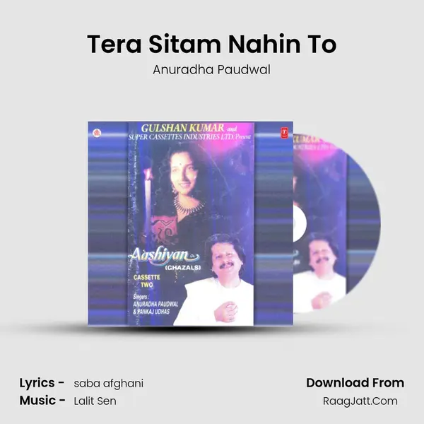 Tera Sitam Nahin To MP3 Song by Anuradha Paudwal Cover