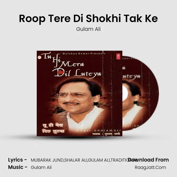 Roop Tere Di Shokhi Tak Ke Cover