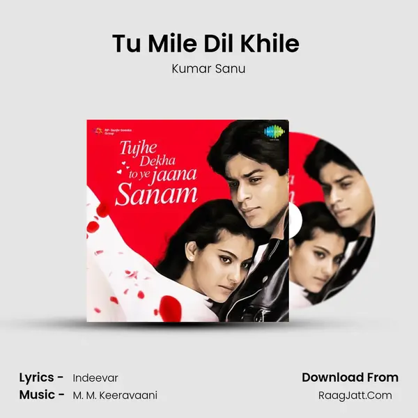 Tu Mile Dil Khile (Male) Cover