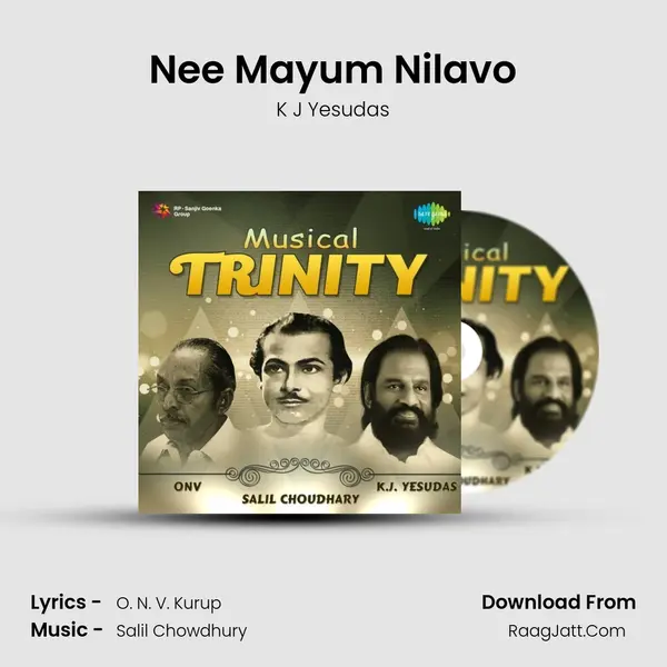 Nee Mayum Nilavo Cover