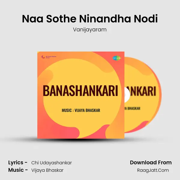 Naa Sothe Ninandha Nodi MP3 Song by Vanijayaram Cover