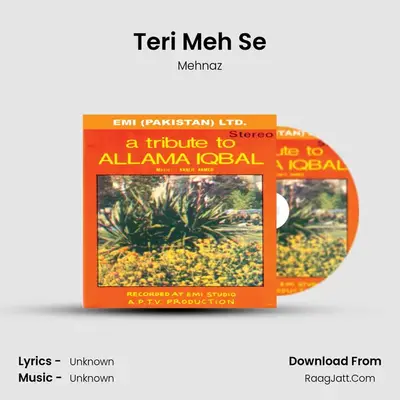 Teri Meh Se MP3 Song by Mehnaz Cover