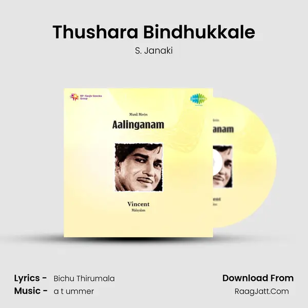 Thushara Bindhukkale MP3 Song by S. Janaki Cover