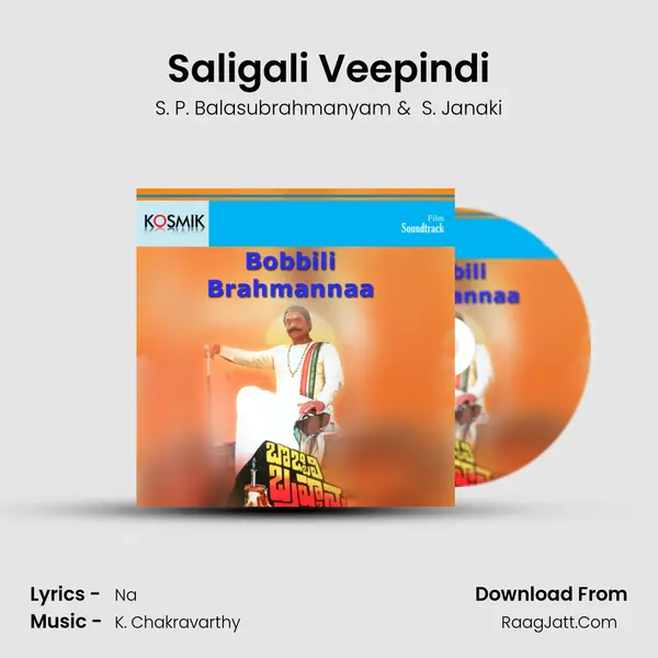 Saligali Veepindi MP3 Song by S. P. Balasubrahmanyam Cover