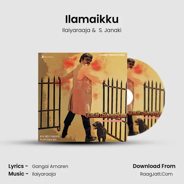 Ilamaikku MP3 Song by Ilaiyaraaja Cover