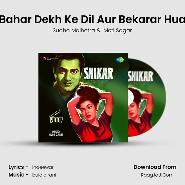 Bahar Dekh Ke Dil Aur Bekarar Hua mp3 song