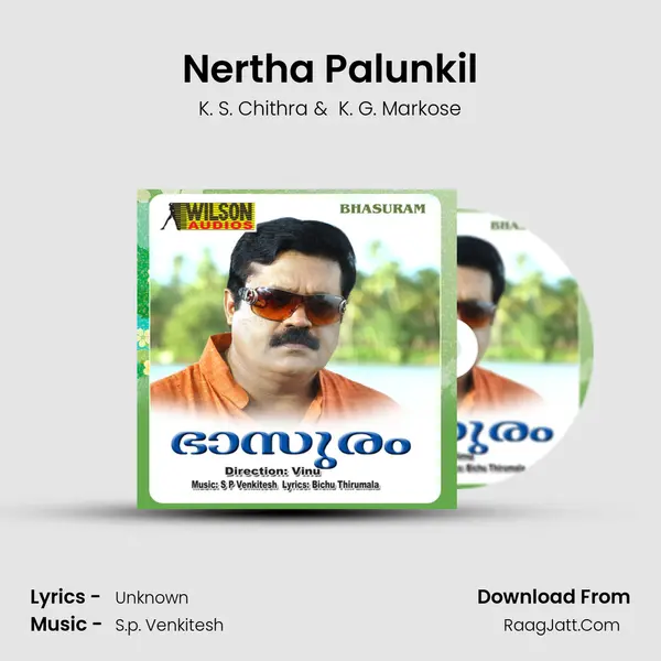Nertha Palunkil MP3 Song by K. S. Chithra Cover