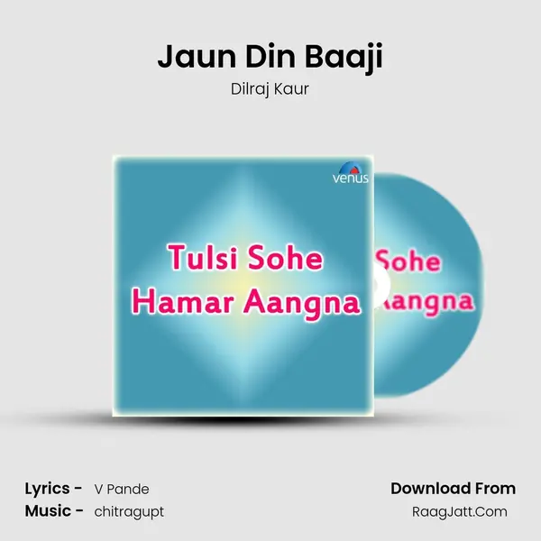 Jaun Din Baaji MP3 Song by Dilraj Kaur Cover