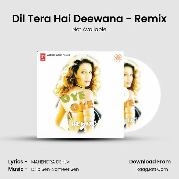 Dil Tera Hai Deewana - Remix MP3 Song by Not Available Cover