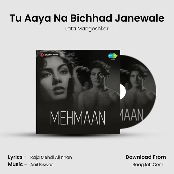 Tu Aaya Na Bichhad Janewale MP3 Song by Lata Mangeshkar Cover