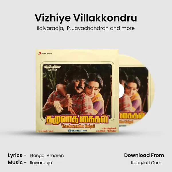 Vizhiye Villakkondru MP3 Song by Ilaiyaraaja Cover