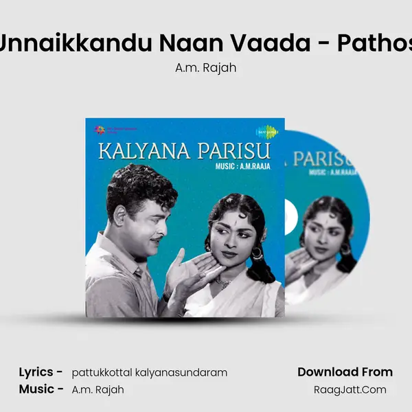 Unnaikkandu Naan Vaada - Pathos MP3 Song by A.m. Rajah Cover