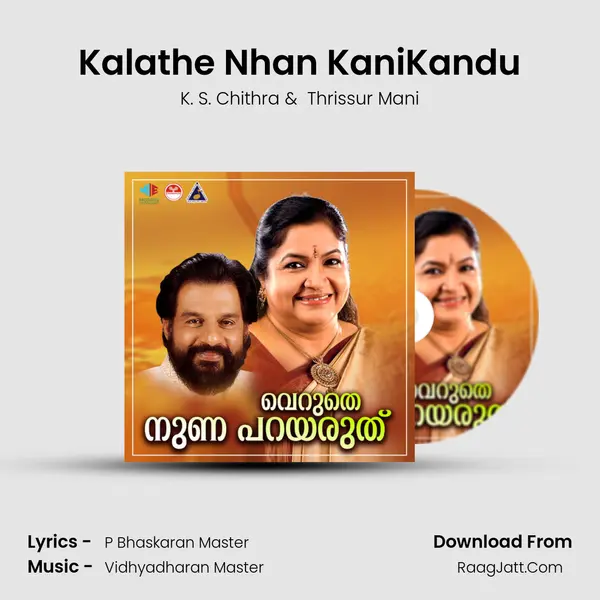 Kalathe Nhan KaniKandu mp3 song