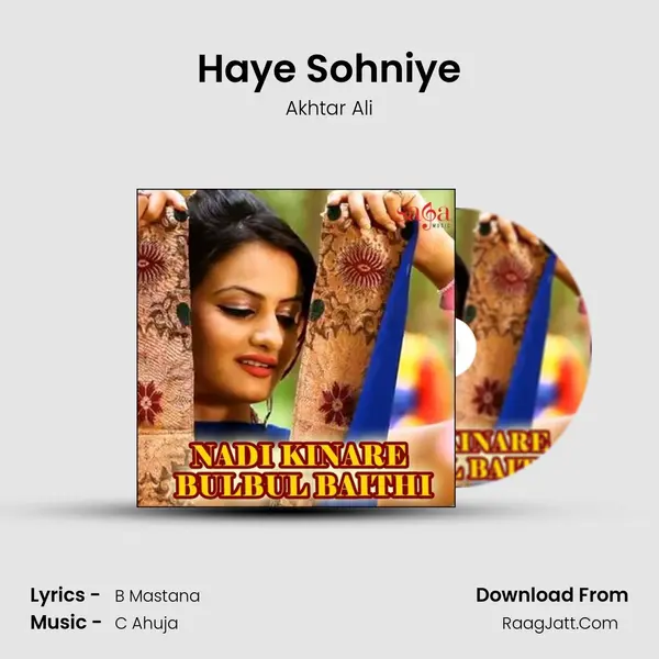 Haye Sohniye Cover