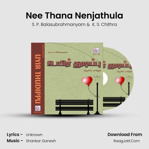 Nee Thana Nenjathula MP3 Song by S. P. Balasubrahmanyam Cover