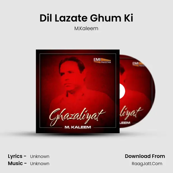 Dil Lazate Ghum Ki mp3 song