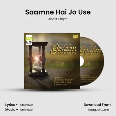 Golden Momemts - Jagjit And Chitra - Jagjit Singh