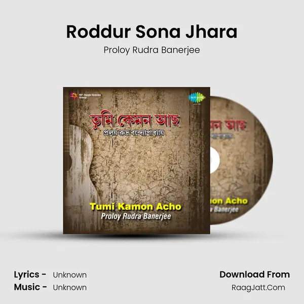Roddur Sona Jhara MP3 Song by Proloy Rudra Banerjee Cover