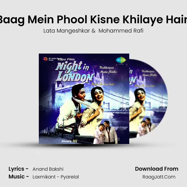 Baag Mein Phool Kisne Khilaye Hain MP3 Song by Lata Mangeshkar Cover