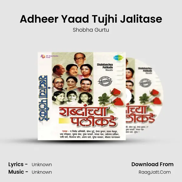 Adheer Yaad Tujhi Jalitase Cover