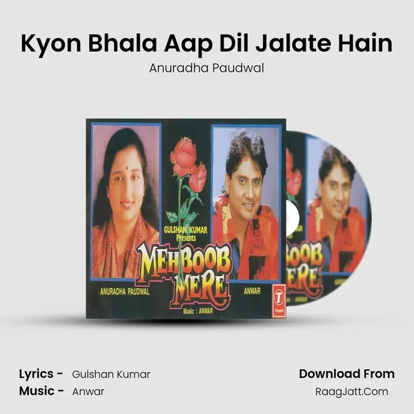 Kyon Bhala Aap Dil Jalate Hain MP3 Song by Anuradha Paudwal Cover