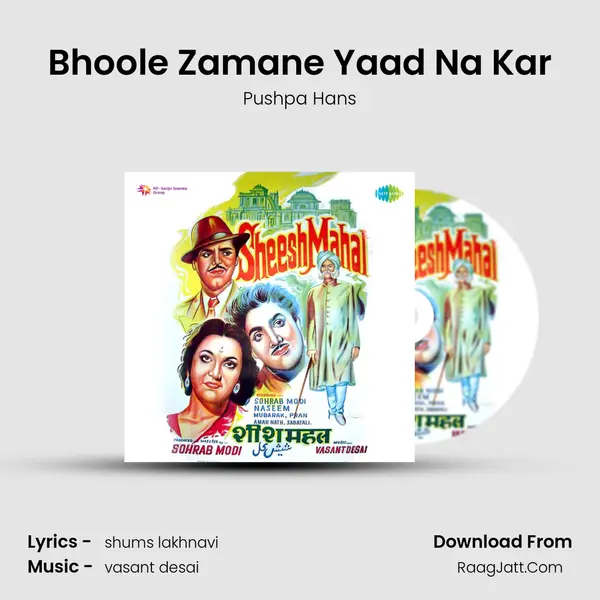 Bhoole Zamane Yaad Na Kar MP3 Song by Pushpa Hans Cover