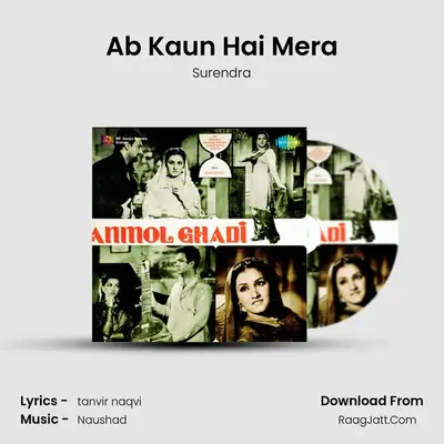 Ab Kaun Hai Mera MP3 Song by Surendra Cover