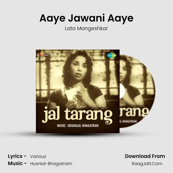 Aaye Jawani Aaye Cover