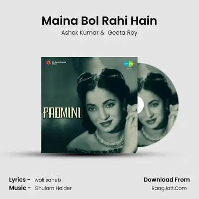 Maina Bol Rahi Hain mp3 song